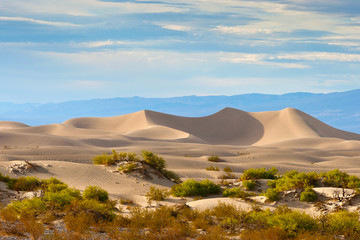 Fototapeta na wymiar Sand dune in the desert