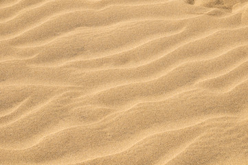 Naklejka premium Sand Dune Desert Texture