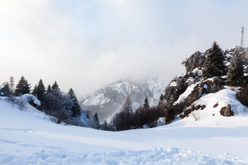 Fototapeta na wymiar Beautiful winter landscape with snow