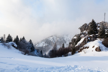 Fototapeta na wymiar Beautiful winter landscape with snow