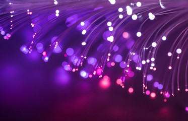 Purple fiber optic background. Shallow depth of field. - 74531156