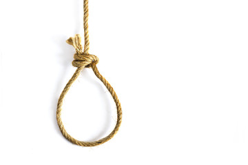 noose on white background