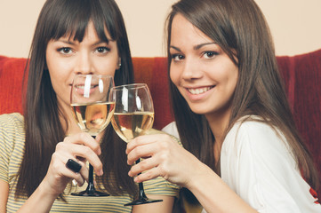 Cheerful young female friends with wine glasses enjoying