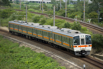 Naklejka premium Główna linia Tokaido, przystanek na każdej stacji