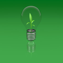 Lightbulb_plant_greenbackground