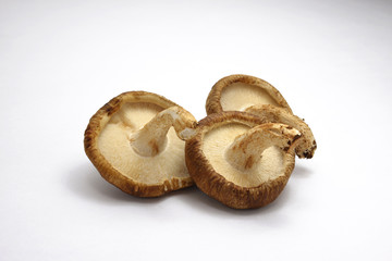 野菜　シイタケ