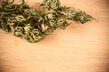 big canabis marijuana plant detail on wood table
