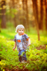 Little boy in the forest