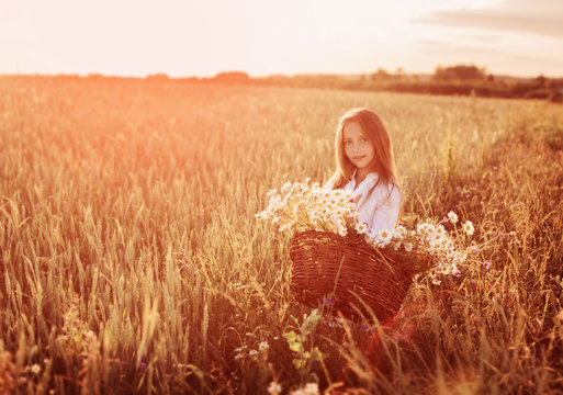 Girl In The Wheat Field With Basket Of Flowers