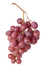 red grapes