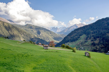 Fototapeta na wymiar Alpine meadow in Tirol