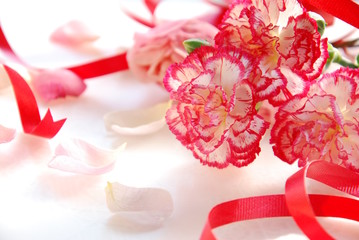 carnation flowers with ribbon