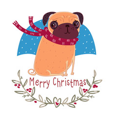 Christmas pug wearing a scarf