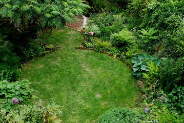 Fototapeta premium Back garden