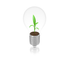 Lightbulb_simple_Plant_dirt