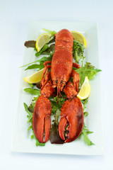 homard