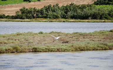 Is Solinas, Masainas - Sardinia