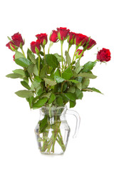 Roses in a vase isolated on white background
