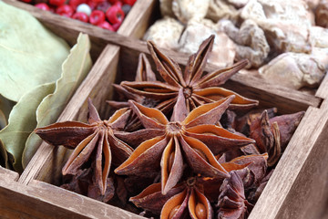 Anisseed spice in the wooden box