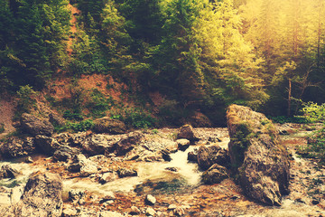 Obraz premium Mountain creek