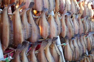 Fototapeta premium Dried Fish under Sunlight in Hokkaido, Japan