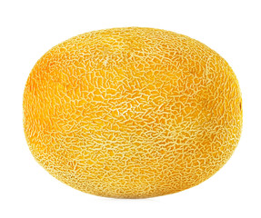 Melon isolated on white background