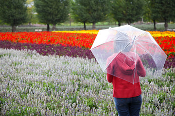 Woman with Umbrella at Tomita Lavender Farm, Hokkaido