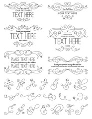 Vintage Calligraphy Flower Design Elements