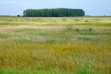 Fototapeta premium Country Scene In Serbia