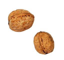 Two walnuts