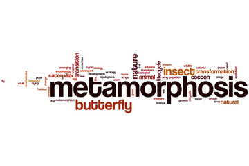 Metamorphosis word cloud