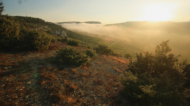 sunrise over the hill with juniper trees