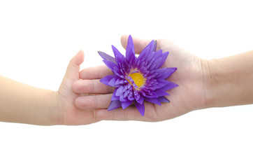 Mother's hand giving lotus to her baby