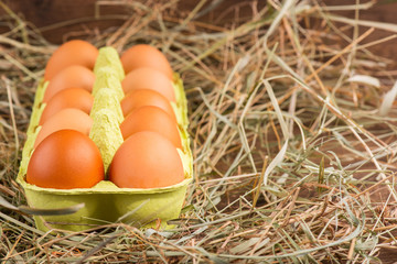 Eggs the delicious and nutritious product