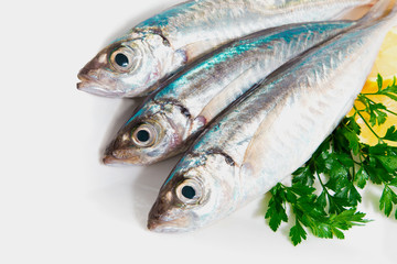 Sgombro suro with parsley and lemon isolated on white background