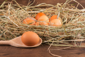 Eggs the delicious and nutritious product