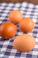 Eggs the delicious and nutritious product