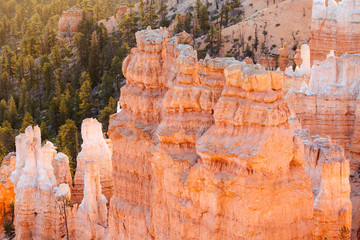 Pillars at Bryce Canyon nation park, Utah, USA.
