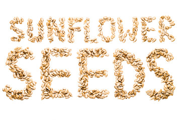 Sunflower seeds