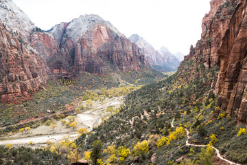 Autumn in Zion NP