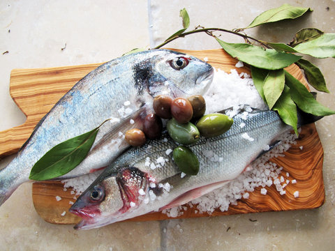 Fische im Salz