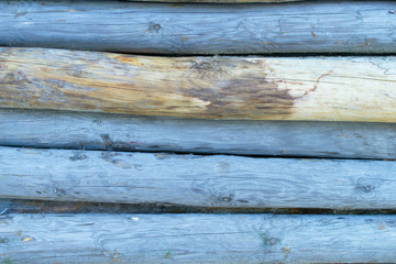 Blue colored tree stumps.
