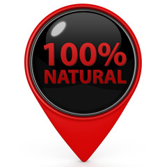 100% natural pointer icon on white background