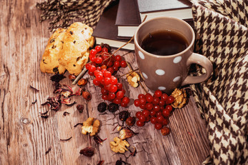 healthy tea with briar and guelder
