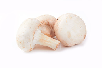 mushroom