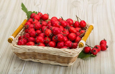 Hawthorn