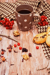 healthy tea with briar and guelder