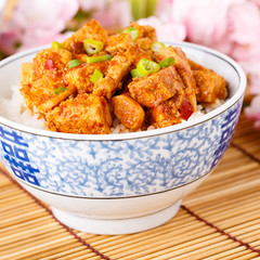 Scharfer Tofu mit Reis - Hot Tofu with rice