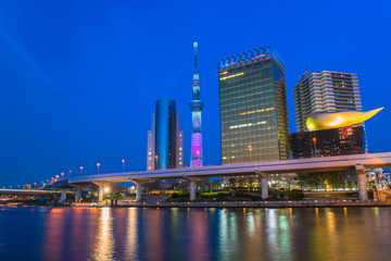 Fototapeta na wymiar View of Tokyo skyline from Sumida river