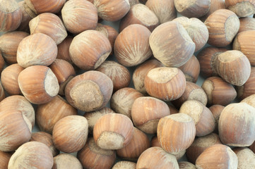 hazelnuts